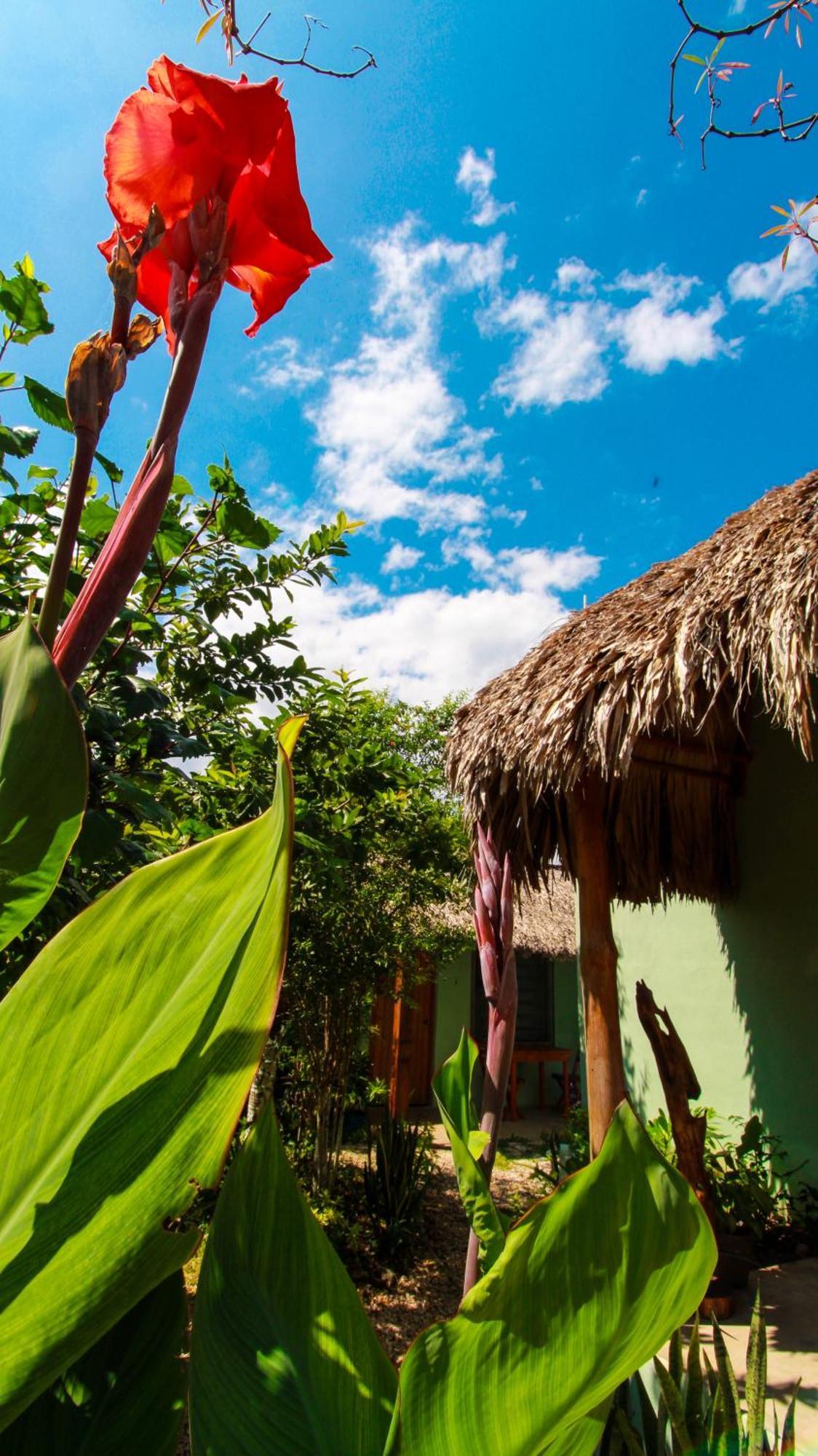 Las Palmas Bacalar Bagian luar foto