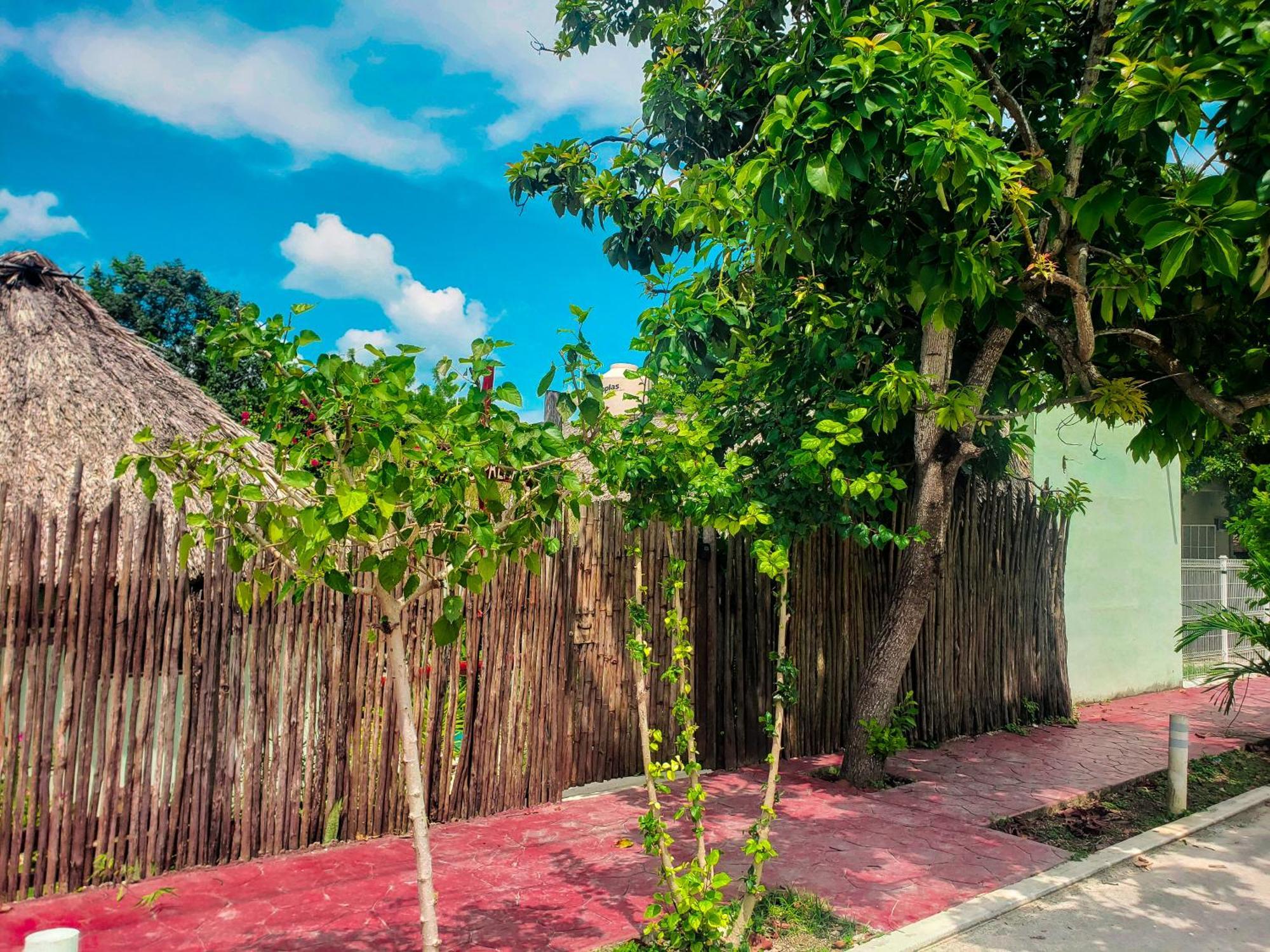 Las Palmas Bacalar Bagian luar foto